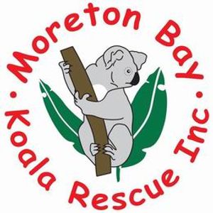 Moreton Bay Koala Rescue