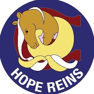 Hope Reins Inc