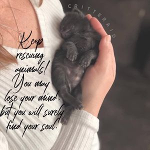 Critteraid Animal Sanctuary