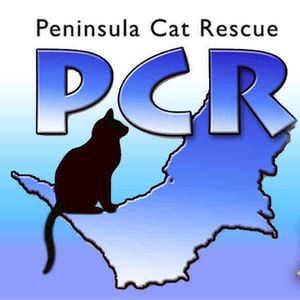 Peninsula Cat Rescue Inc Logo