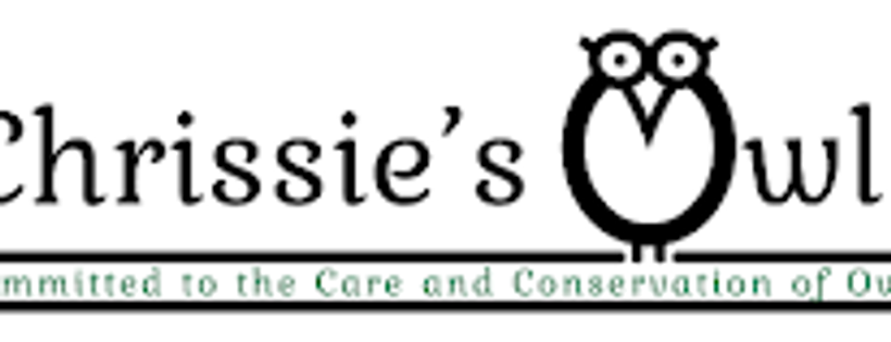 Chrissie's owls & stonesfield owl rescue