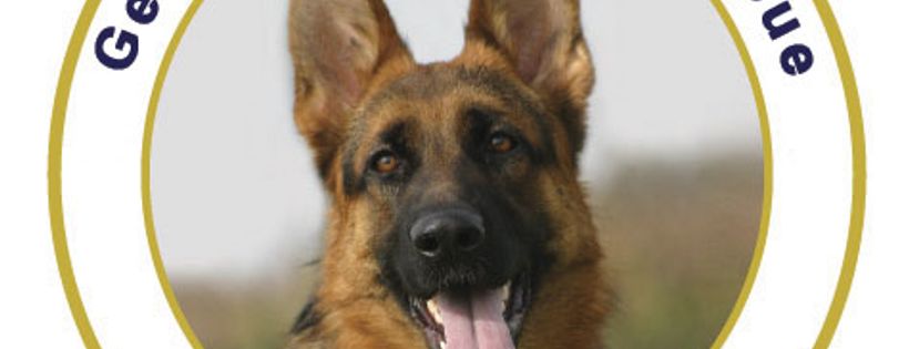 German Shepherd Rescue Scotland