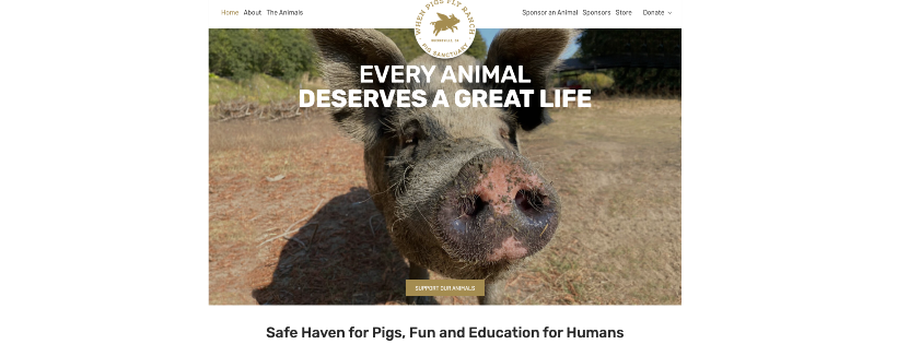 When Pigs Fly Ranch Inc