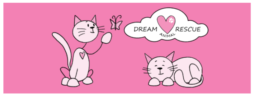 DREAM Animal Rescue
