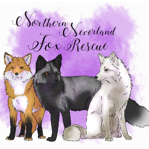 Nothern neverland fox rescue Logo