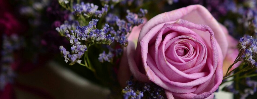 The Harmony Therapy Trust