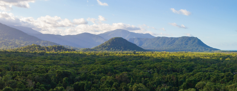 Gondwana Rainforest Trust