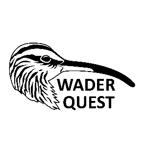 Wader Quest Logo