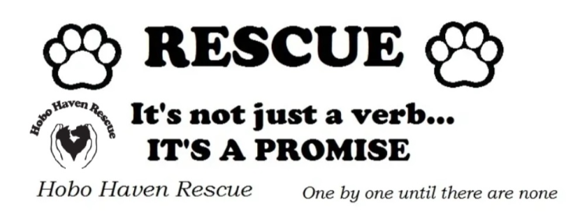 Hobo Haven Pet Rescue