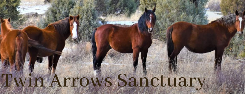 Twin Arrows Sanctuary Corp