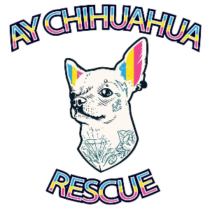 Ay Chihuahua Rescue