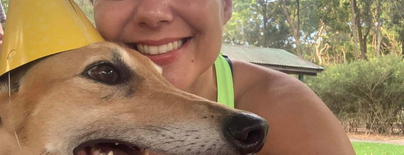 Jades Dog Rescue
