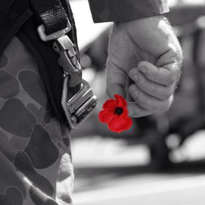 Wounded Heroes australia