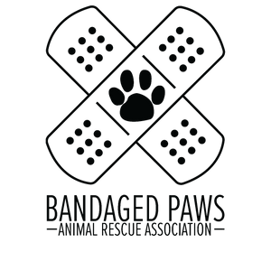 Bandaged Paws Animal Rescue Association Logo