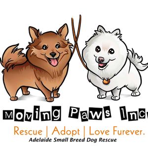 Moving Paws Incorporated