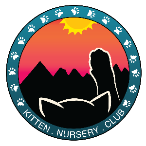 Kitten Nursery Club