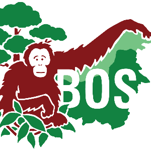 Borneo Orangutan Survival (BOS) USA Logo