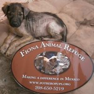 fiona animal refuge Logo