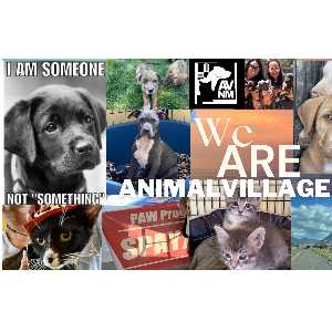 Animal Village NM Logo