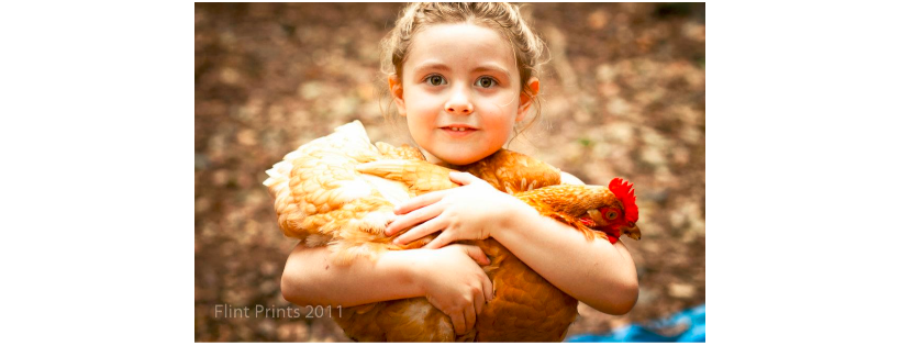 Strong Family Farm