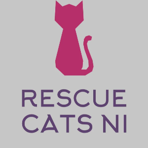 Rescue Cats NI