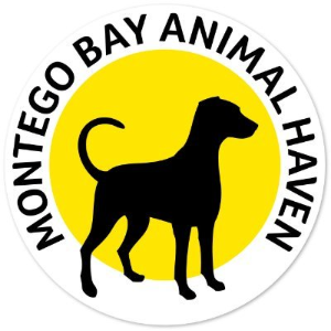 Montego Bay Animal Haven