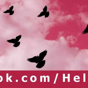 Helping Wings