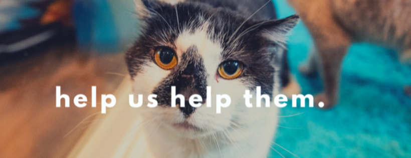 Fur-Ever Home Rescue