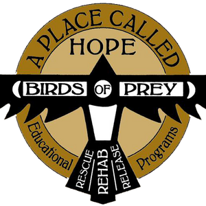 A Place Called Hope, Inc. Logo