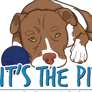 It's The Pits Logo