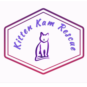 Kitten Kam Rescue Logo