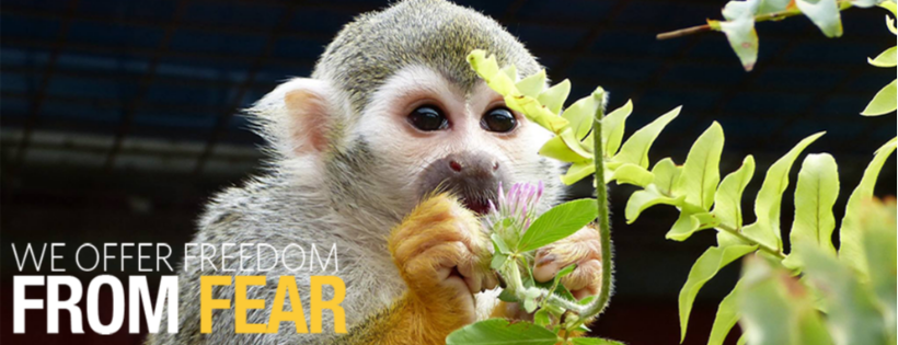 Story Book Farm Primate Sanctuary