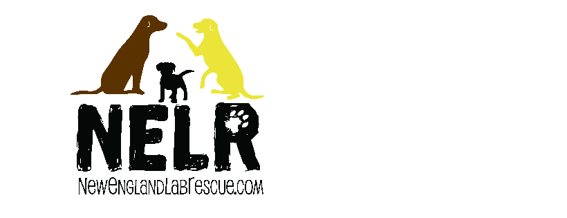 New England Lab Rescue, Inc.