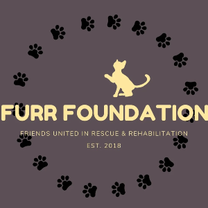 FURR Foundation Logo