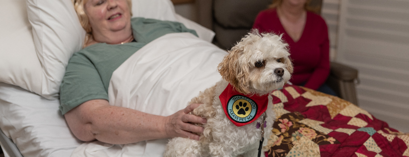 The Mary Potter Foundation Inc