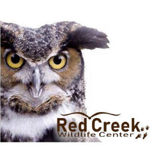 Red Creek Wildlife Center Inc Logo
