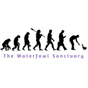 The Waterfowl Sanctuary Logo