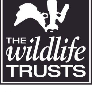Cornwall Wildlife Trust Logo