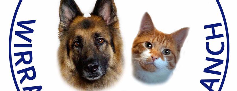 RSPCA Wirral