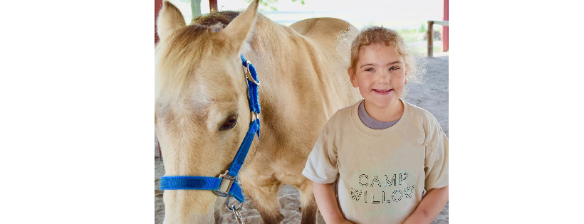 Camp Willow, Inc.