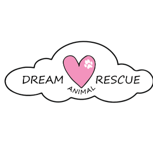 DREAM Animal Rescue