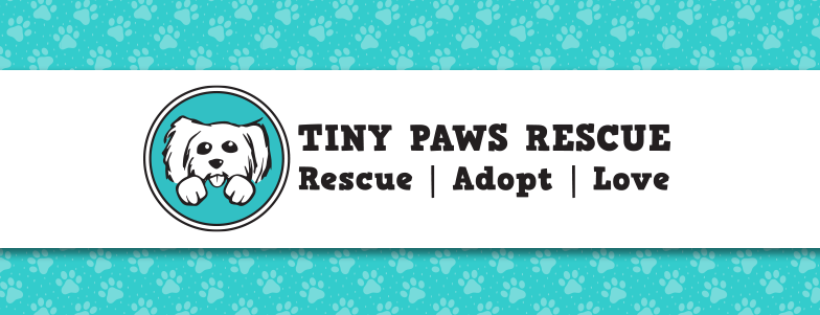 Tiny Paws Rescue Inc