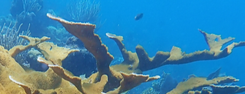Institute for Socio-Ecological Research