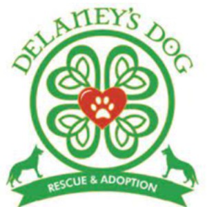 Delaney's Dog Logo
