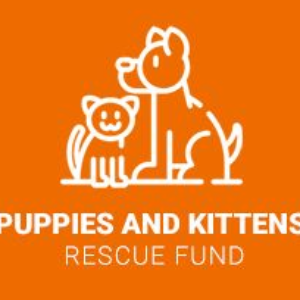 Puppies And Kittens Rescue Fund