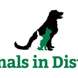 Animals in Distress - Torbay & Westcountry