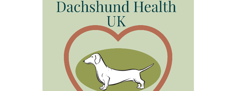 Dachshund Health UK