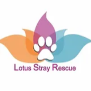 Lotus Stray Rescue Logo