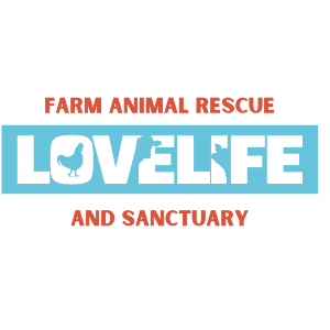 Love Life Animal Rescue & Sanctuary Inc. Logo