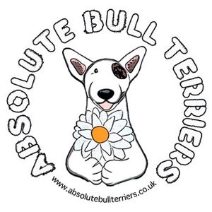 Absolute bull terrier rescue Logo